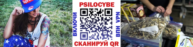 Псилоцибиновые грибы Psilocybine cubensis  мориарти как зайти  Рославль 